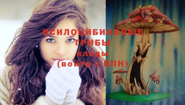 эйфоретик Алексин