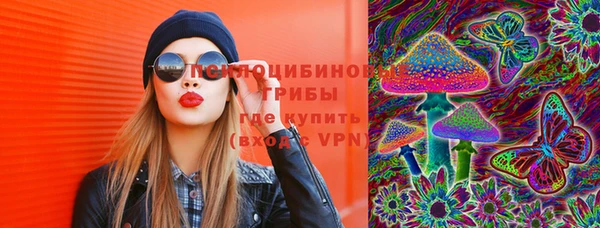 эйфоретик Алзамай