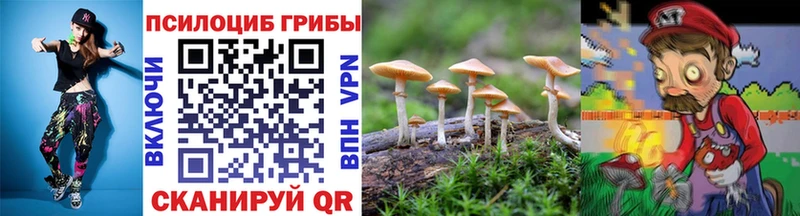 Псилоцибиновые грибы Magic Shrooms  продажа наркотиков  Калининск 